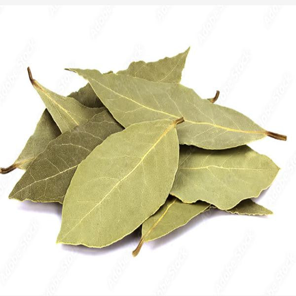Bay Leaf /tej Patha