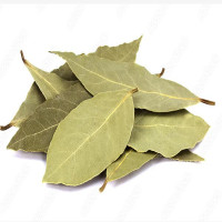Bay Leaf /tej Patha